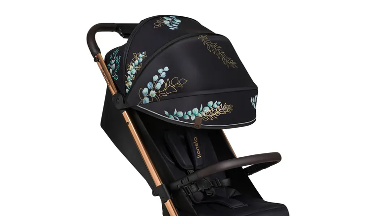 Lionelo, Cloe, wózek spacerowy, Golden Moments