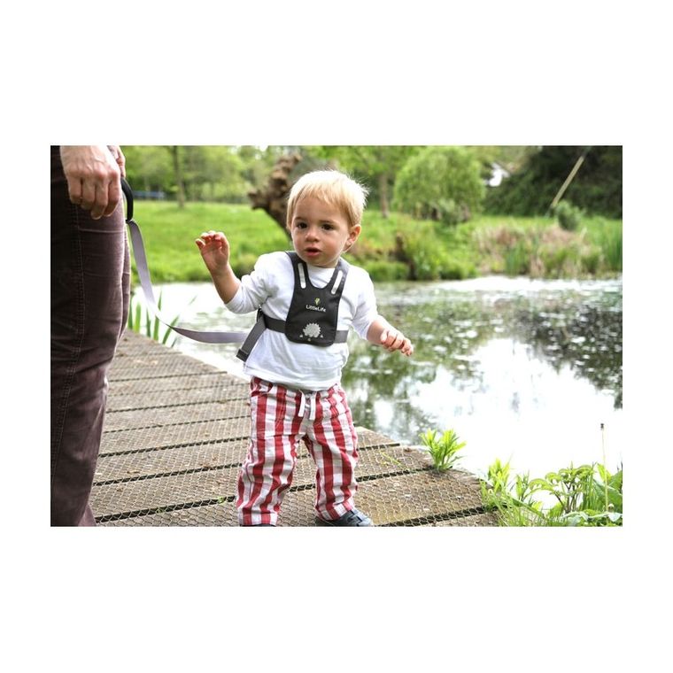 LittleLife, Safety Harness, szelki bezpieczeństwa