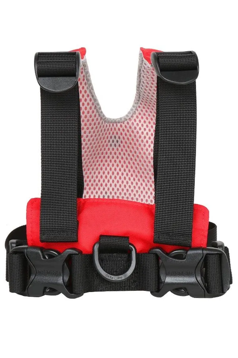 LittleLife, szelki bezpieczeństwa, Biedronka