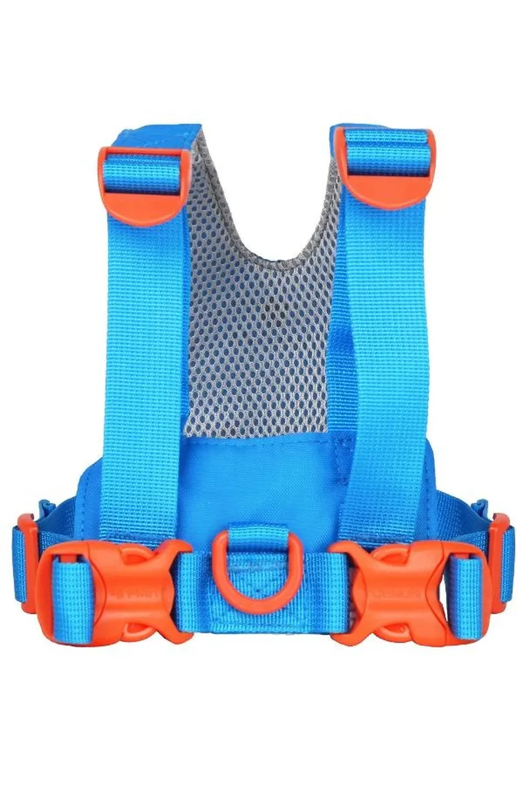 LittleLife, szelki bezpieczeństwa, Triceratops