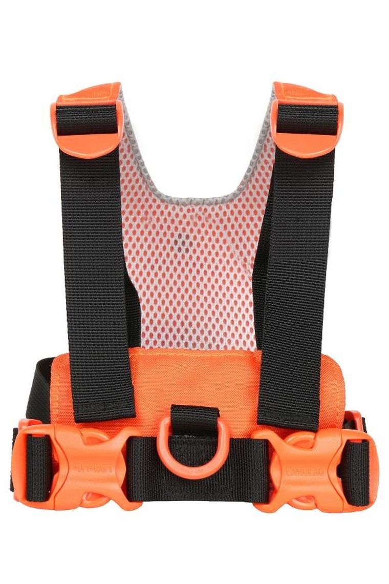 LittleLife, szelki bezpieczeństwa, Tygrys