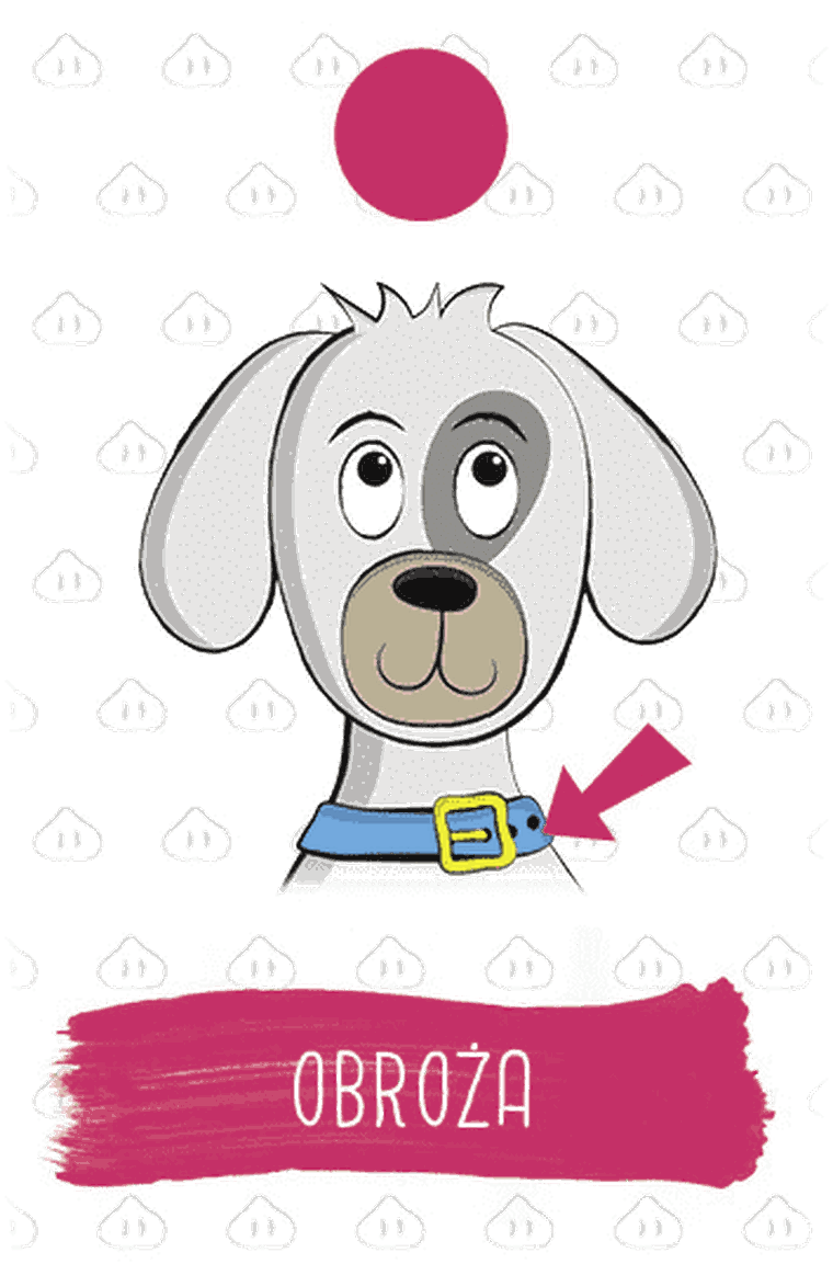 Logoświnki. Logopedyczna gra karciana