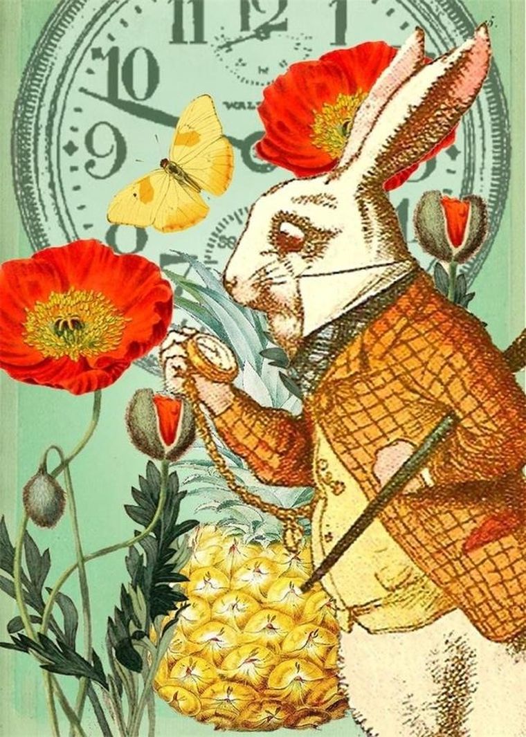 Madame Treacle, karnet B6 z kopertą, Alicja w krainie czarów