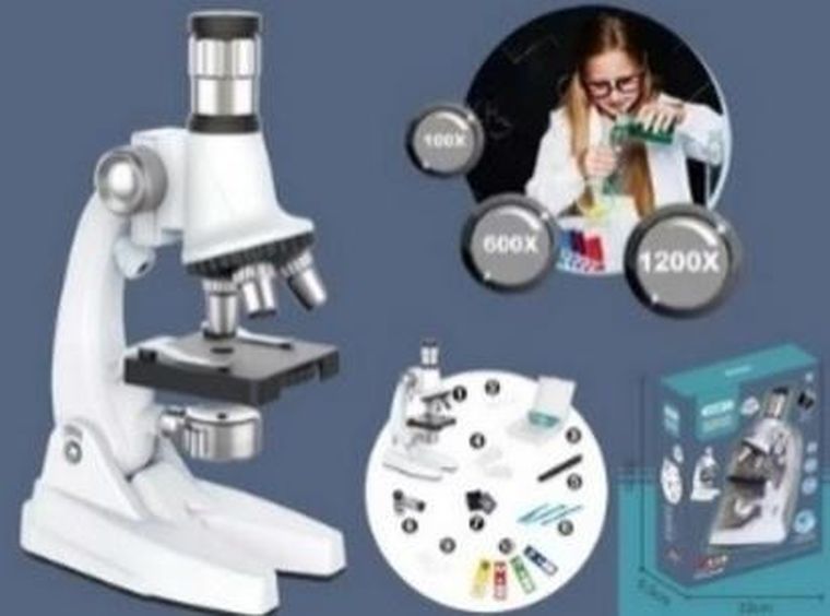 Madej, mikroskop, 100-1200x, zestaw edukacyjny