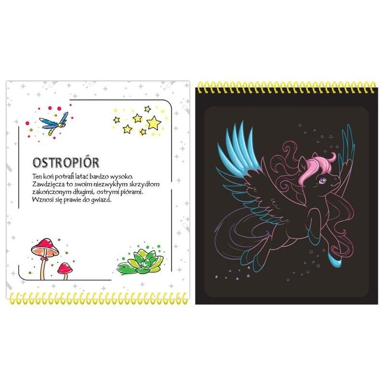 Magiczne koniki. Zdrapywanka z rysikiem