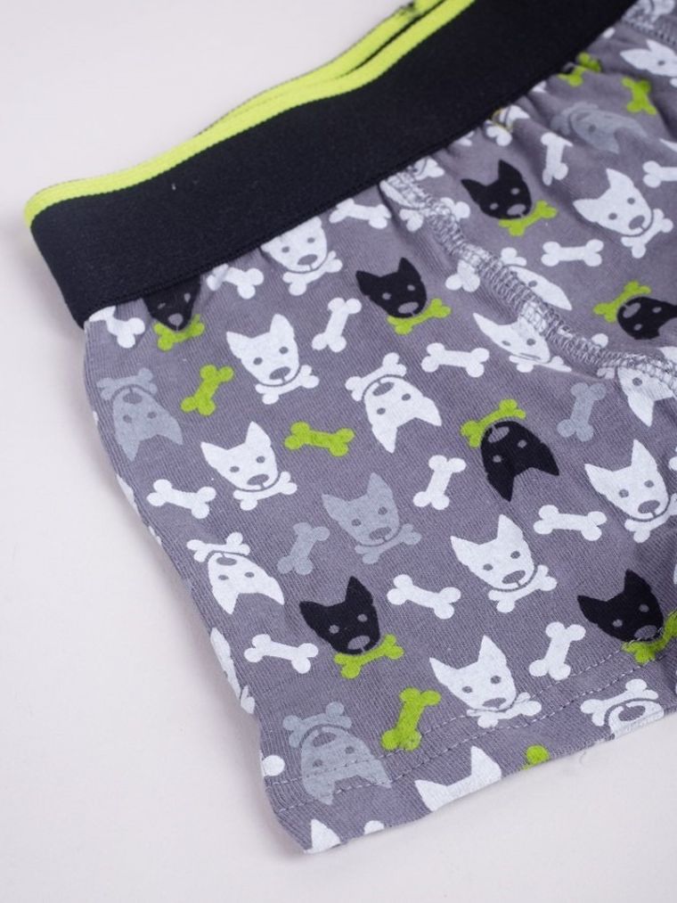 Majtki bokserki chłopięce, szare, zestaw, 2 szt., Yoclub