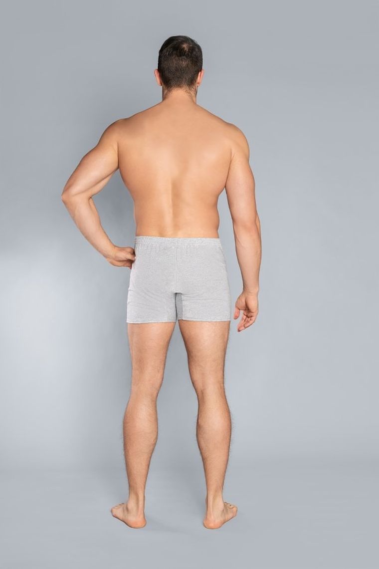 Majtki bokserki męskie, jasnoszare, Baster, Italian Fashion