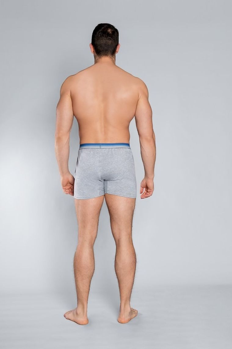 Majtki bokserki męskie, jasnoszare, Logan, Italian Fashion