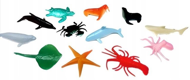 Maksik, projektor ze slajdami, ocean