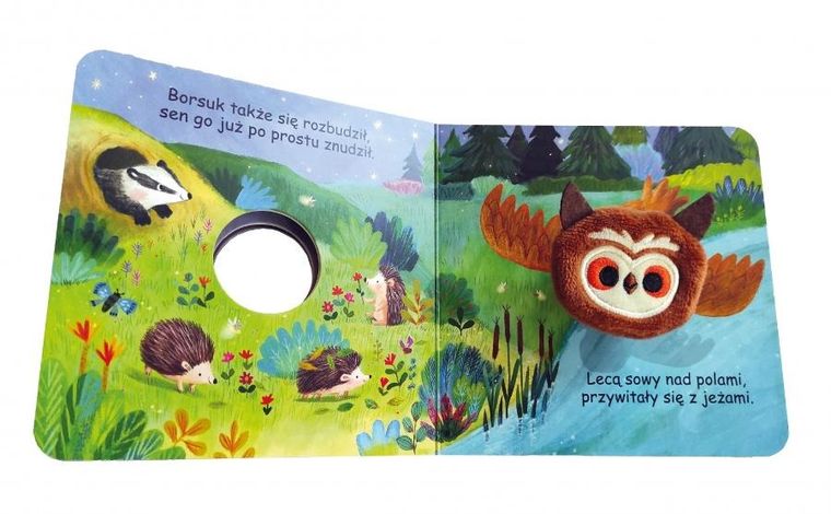 Mała sówka. Książka z pacynką