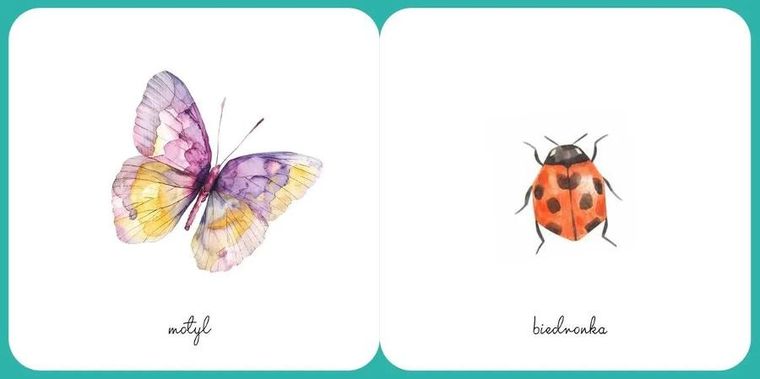 Małe stworzonka. Ładne obrazki. Świat wokół mnie