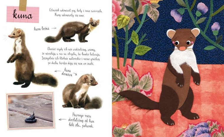 Mały atlas zwierzaków Ewy i Pawła Pawlaków