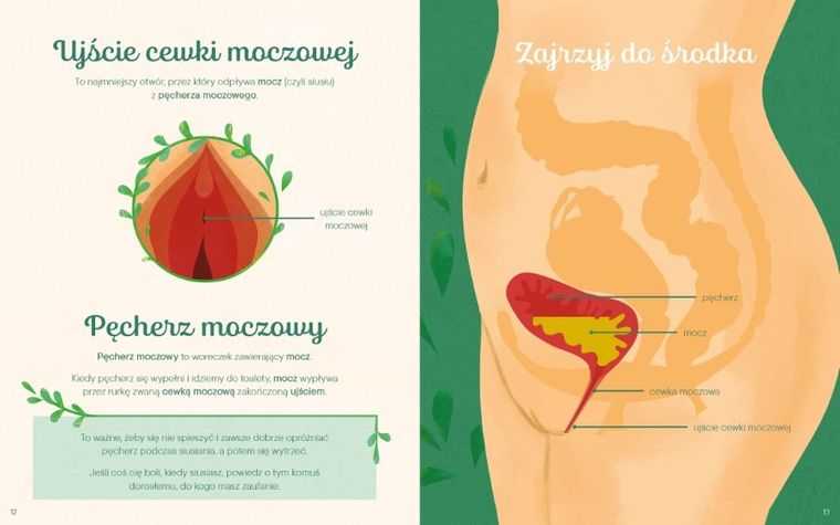 Mały ilustrowany przewodnik po intymności. Wagina, macica, łechtaczka i inne sekrety kobiecej anatomii