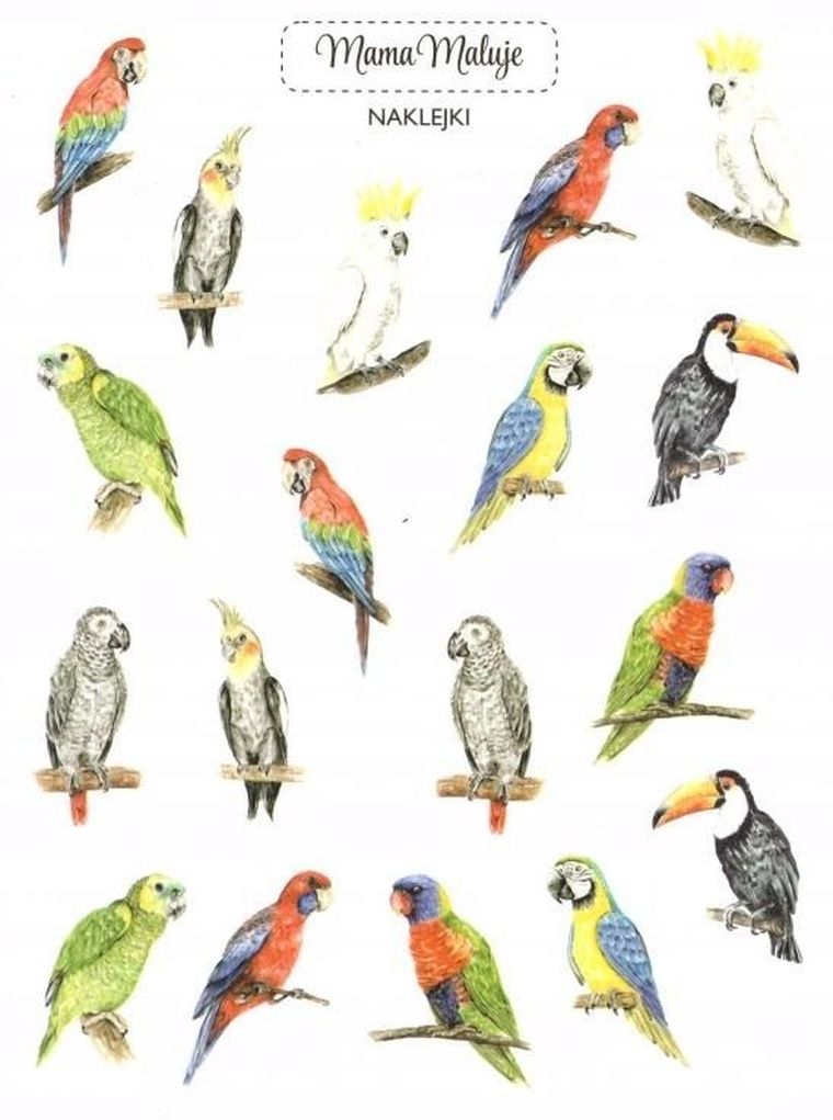 Mama Maluje, naklejki, Papugi