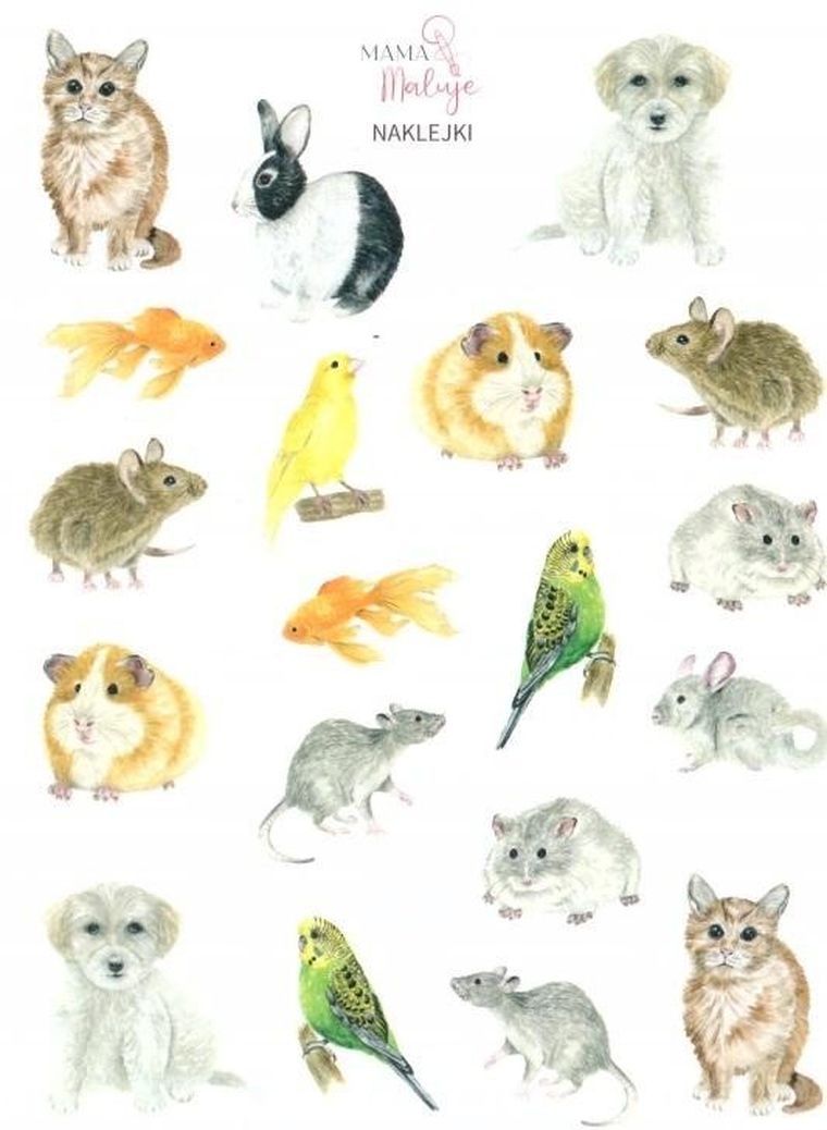 Mama Maluje, naklejki, Zwierzęta domowe