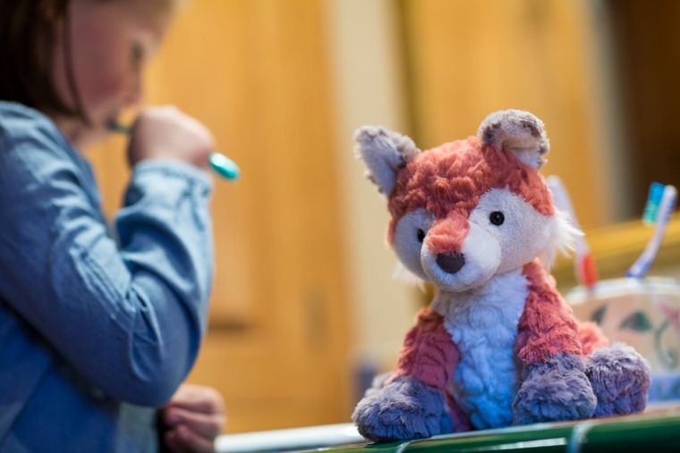 Mary Meyer, Putty, Lis, maskotka, 20 cm