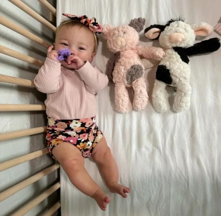 Mary Meyer, Putty, Prosiaczek, maskotka