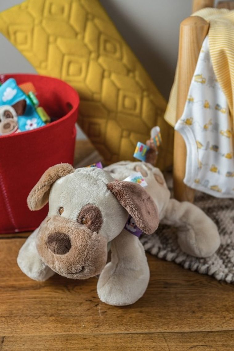 Mary Meyer, Taggies, Piesek, maskotka z metkami