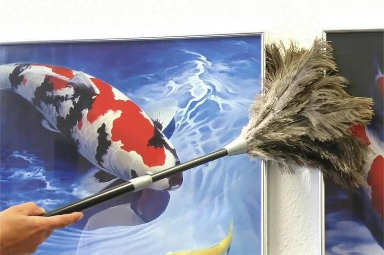 Maximex, miotełka do usuwania kurzu teleskopowa, strusie pióra