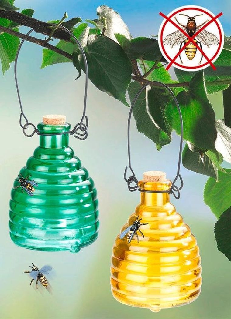 Maximex, pułapka na osy, szklana, 2 szt.