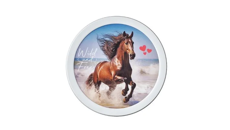 Mepal, Campus, Fruit Box, Wild Horse, pudełko na owoce, 300 ml