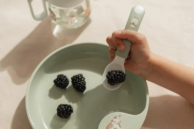 Mepal, Mio, Forest Friends, łyżki dziecięce, 2 szt.