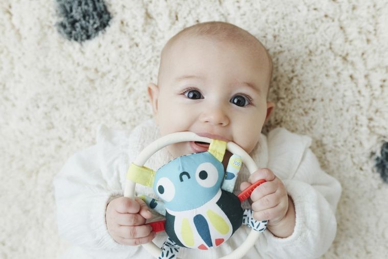 Miniland, Feel To Learn, pająk, grzechotka sensoryczna