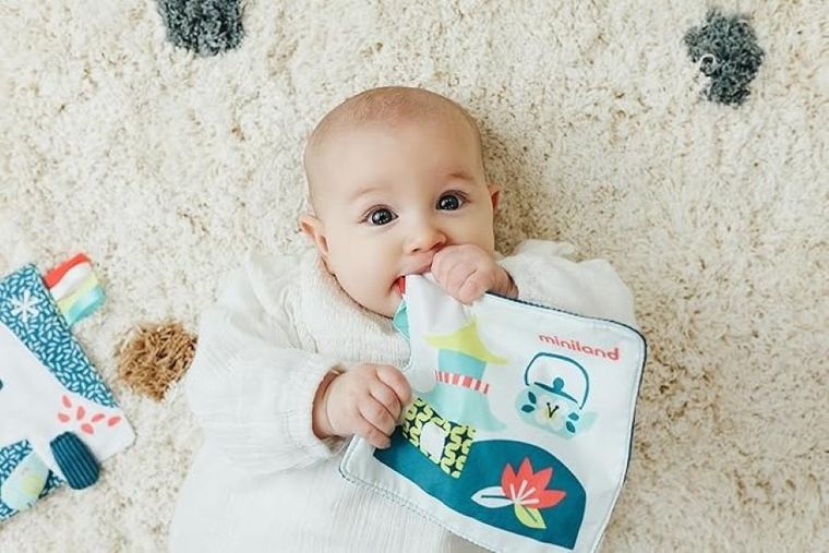 Miniland, Feel To Learn, szeleszczący lew morski, zabawka sensoryczna