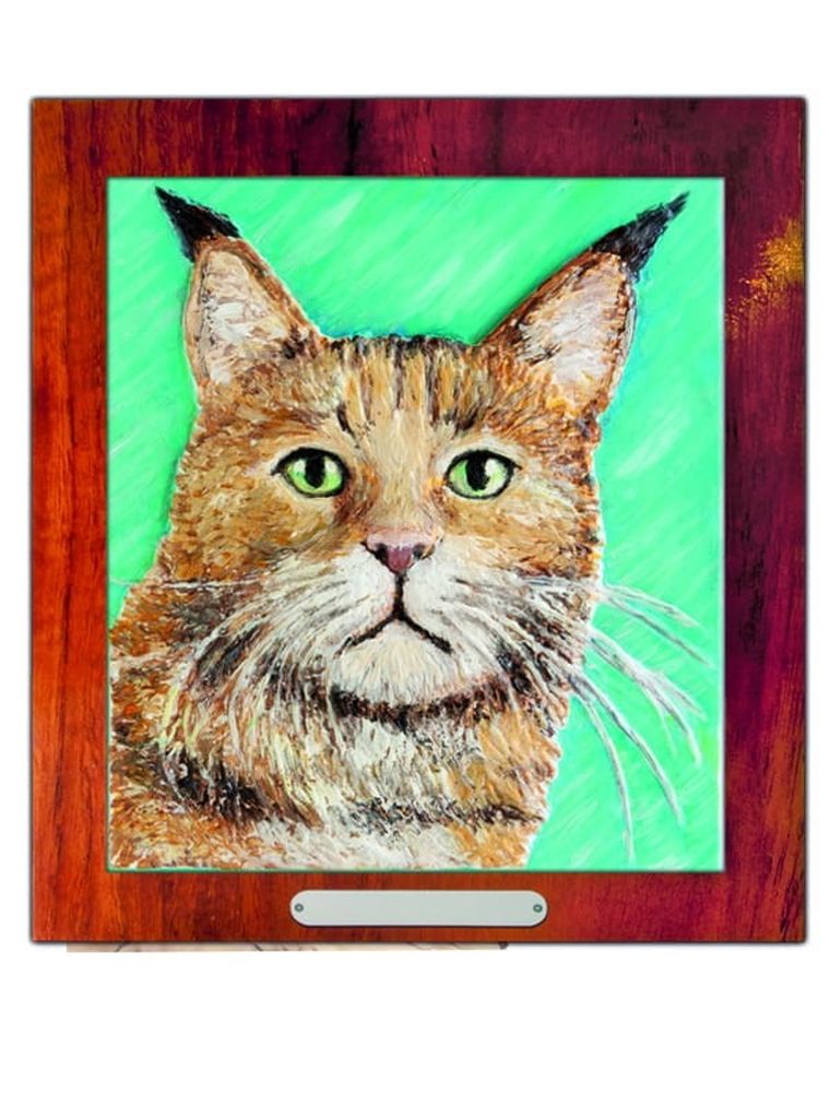 Mirage Hobby, Wypukła Malowanka, zestaw kreatywny do malowania, Kot Maine Coon