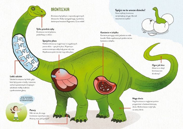 Mocarne dinozaury. Ale to wielkie!