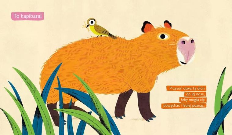 Moja kapibara. Aktywizująca książka dla dzieci