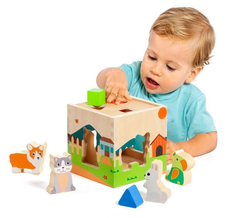 Molto, sorter kształtów, zwierzątka i figury geometryczne