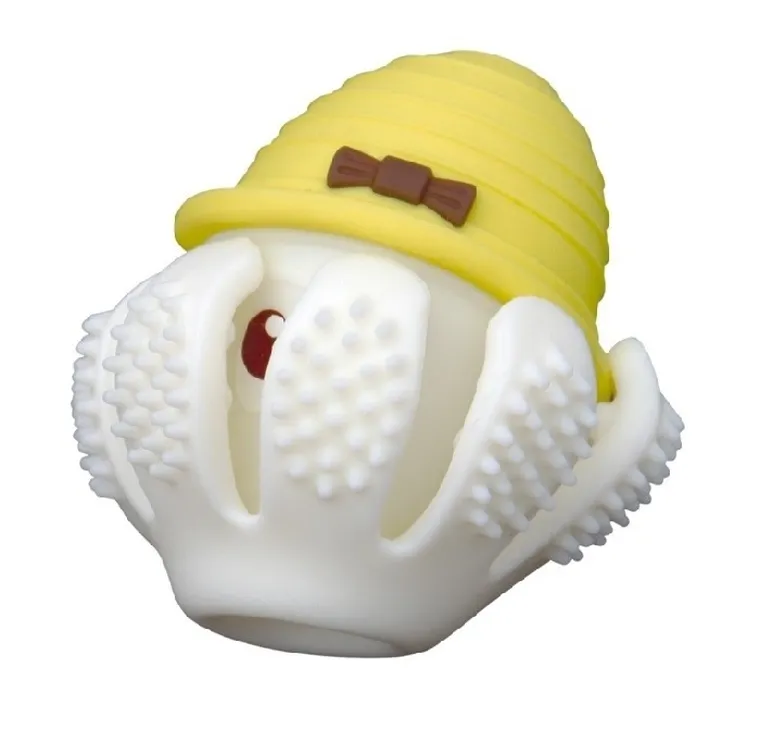 Mombella, Ośmiornica, gryzak, Curry