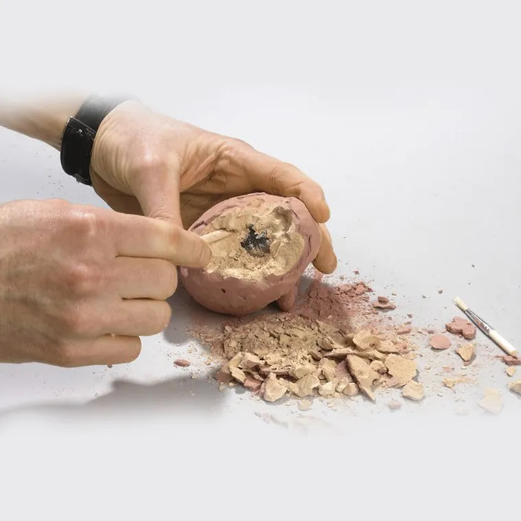 Moses, dinozaury, jajko wykopaliska, figurka dinozaura, zestaw naukowy