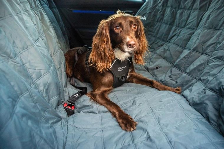 Mountain Paws, pas bezpieczeństwa do samochodu dla psa