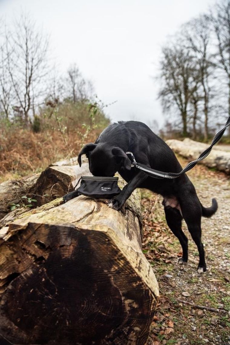 Mountain Paws, składana, turystyczna miska do karmienia psa