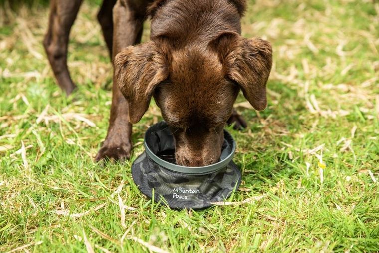 Mountain Paws, składana, turystyczna miska na wodę dla psa, camo
