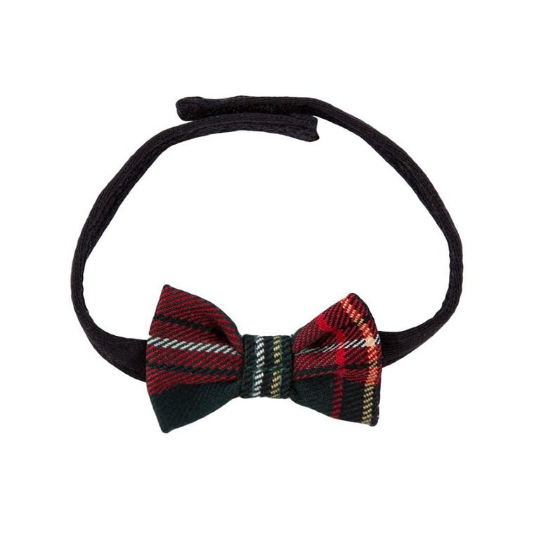 Mucha chłopięca, zielono-czerwona, Eevi