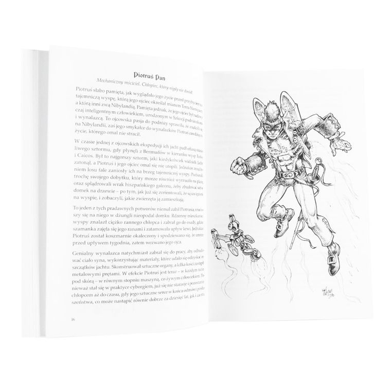 Muduko, Nibylandia, gra książkowa