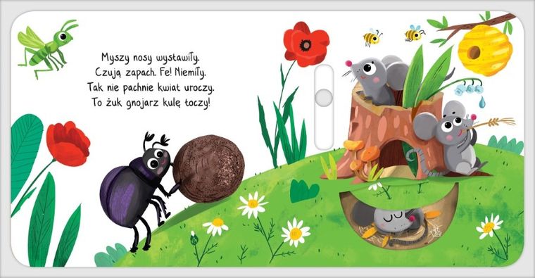 Na łące. Co odkryję paluszkiem?