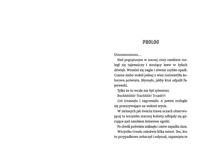 Na straży tajemnic. Klątwa skarbu Inków. Czytam, bo lubię