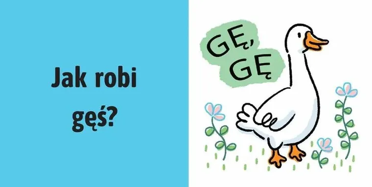 Na wsi. Nazywam dźwięki