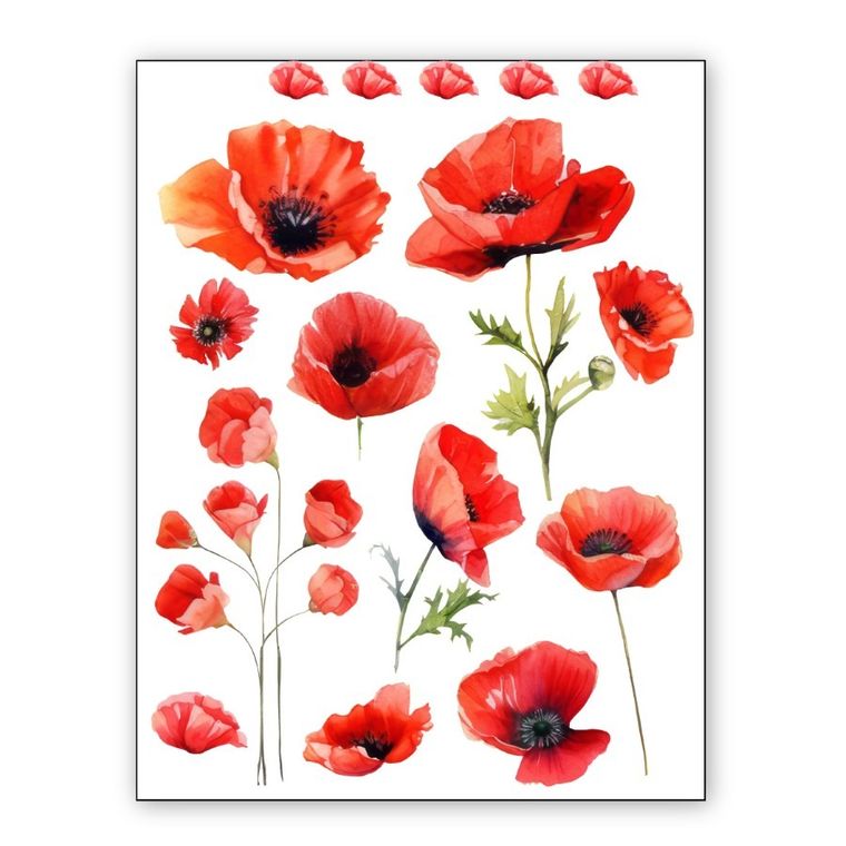 Naprasowanki, naplamki, Maki