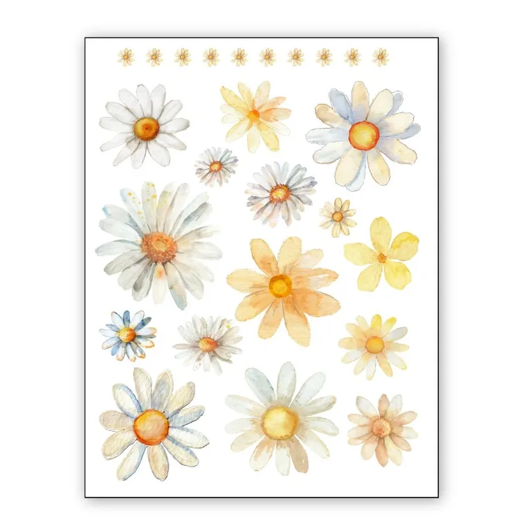 Naprasowanki, naplamki, Stokrotki