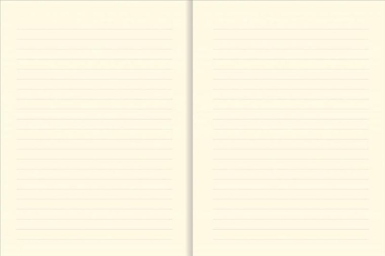 Narcissus, notes B6, linia, 80 kartek, niebiański, 1 szt.