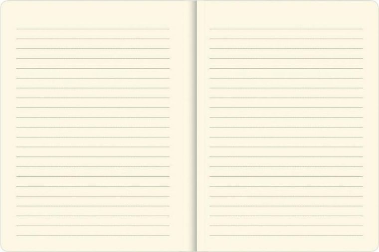 Narcissus, notes z gumką, linia, 80 kartek, piwonie, 1 szt.