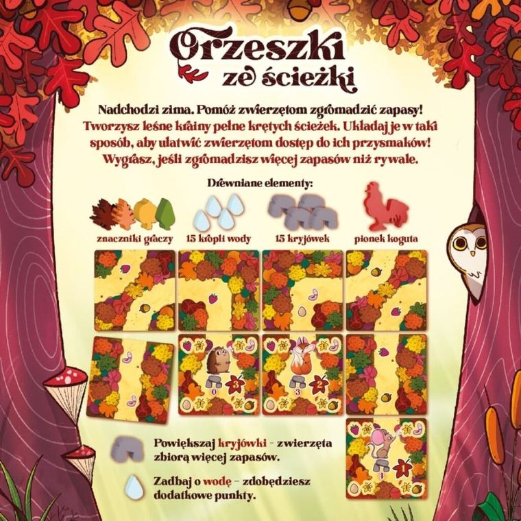 Nasza Księgarnia, Orzeszki ze ścieżki, gra familijna