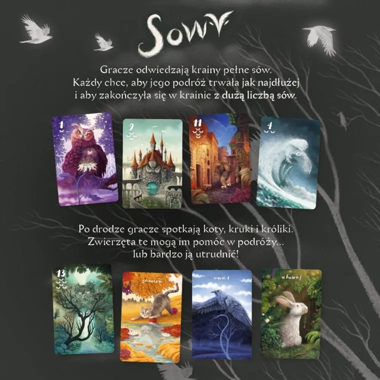 Nasza Księgarnia, Sowy, gra familijna