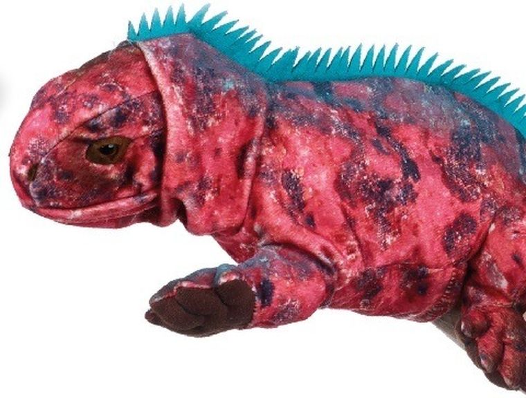 National Geographic, iguana, pacynka