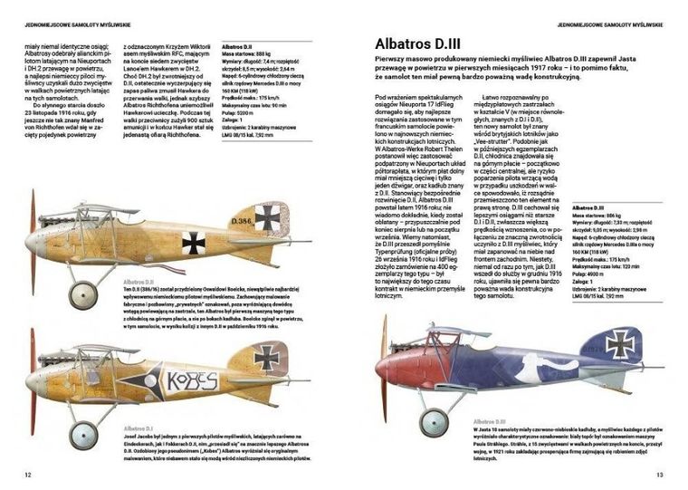 Niemieckie samoloty I wojny światowej